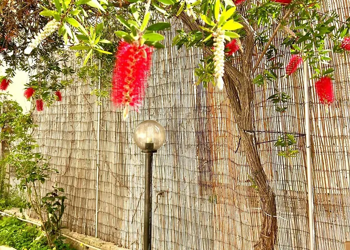 Nura's - Grace Seaside