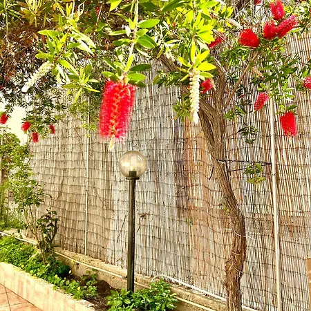 Nura's - Grace Seaside